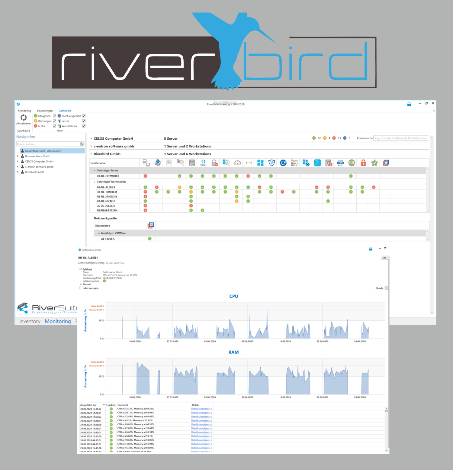 Riverbird